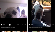 Could Facebook seriously challenge YouTube's dominance in video advertising? Could Facebook seriously challenge YouTube's dominance in video advertising?