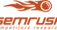 Research and analyze keywords and domains with SEMrush Research and analyze keywords and domains with SEMrush