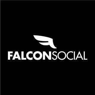 Falcon Social prioritizes actionable social data Falcon Social prioritizes actionable social data